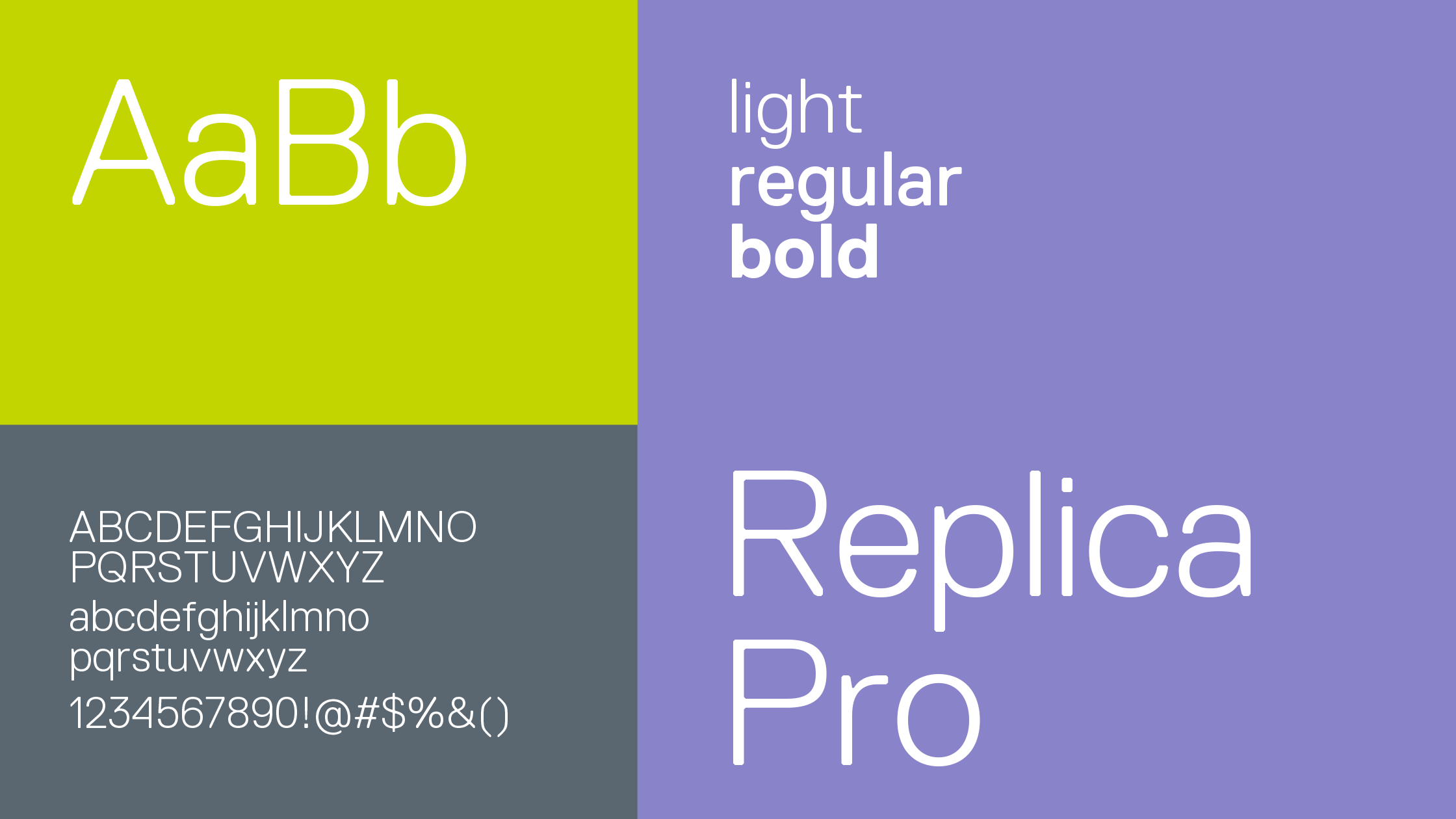 delta primary brand typeface