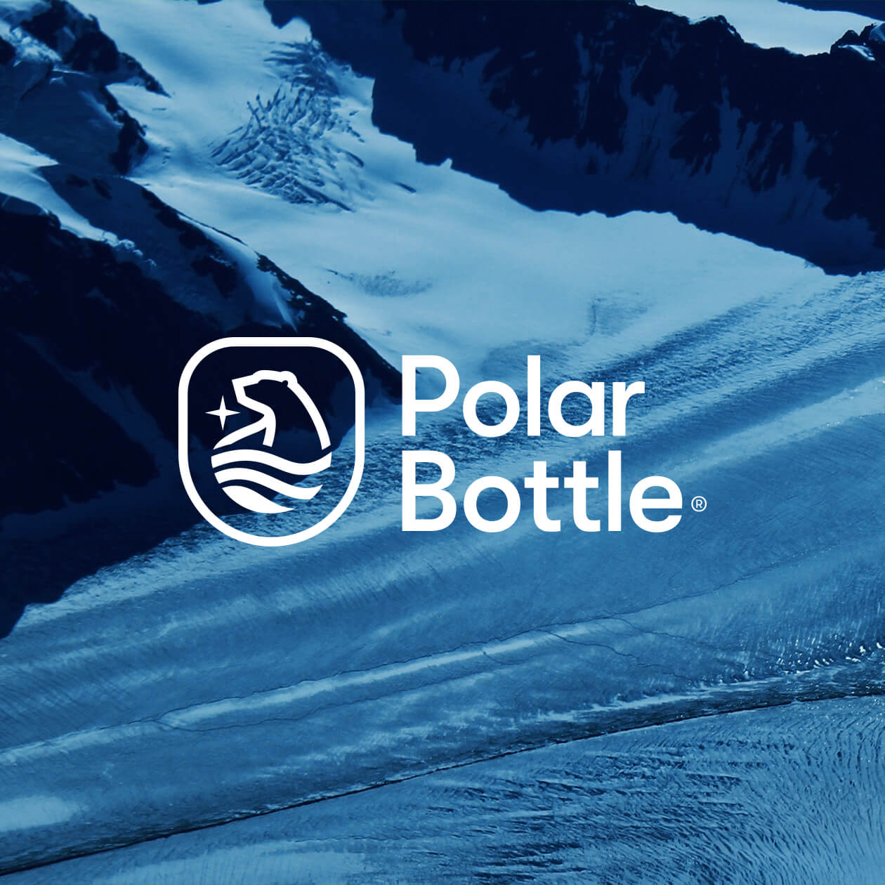 Polar Bottle Image